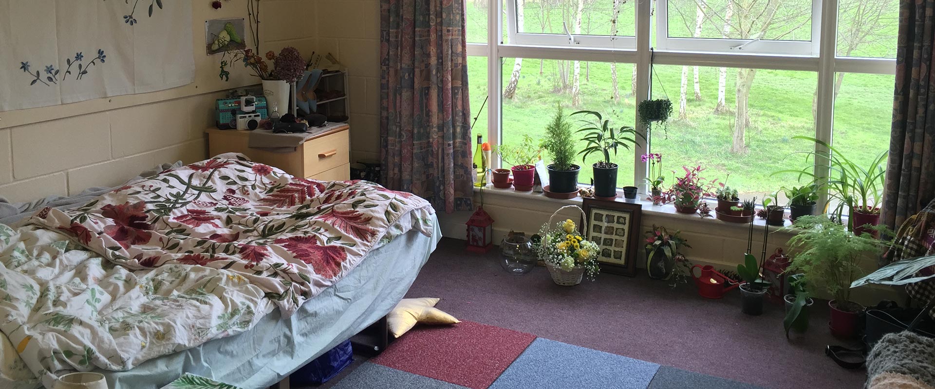 Living In Halls Of Residence - Writtle University College