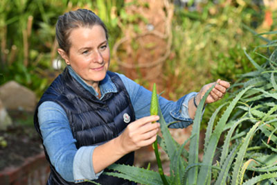 An horticultural adult learner assessing a plants health