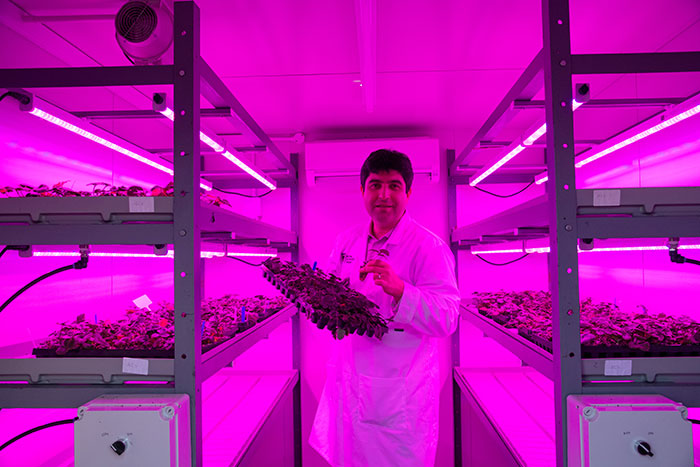 Dr Kambiz Baghalian in small LED vertical farming unit